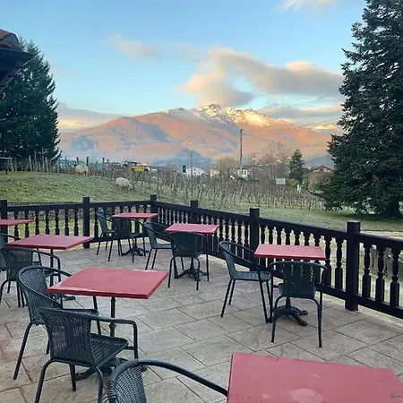 Harriet Отель типа 